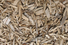 biomass boilers Carnhot